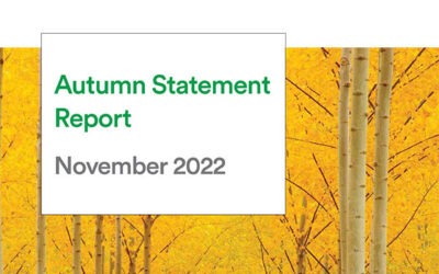 Autumn Statement 2022: Hunting for growth